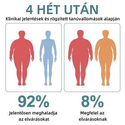 𝘿𝙄𝙔𝙎𝙏𝘼𝙍™Mágneses terápia és Moissanit gyémánt gyűrű (🎄 Karácsonyi akció, 60% kedvezmény) 🎅