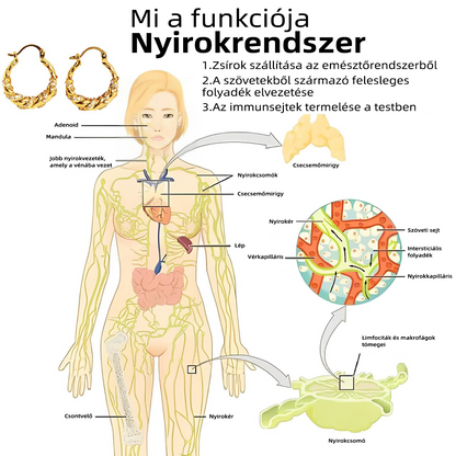CZTICLE™ Nyirokrendszeri aktivitás fülbevalók🔥(Korlátozott idejű ajánlat 🎄 Karácsonyi ajánlat)